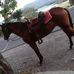 Angel Alfaro - Facebook