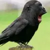 Angel - @angel_alt6 - TikTok