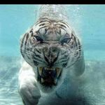 Miguel Angel Altieri Sanchez de la Vega - @miguelangelaltierisanchezdela - Instagram