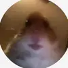 Angel Barney736 - @angelbarney0 - TikTok
