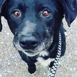 Barney Angel - @barneysangels - Instagram