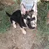 angelbejar568 - @angelbejar568 - TikTok