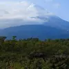 ANGEL BOSQUE - @angel.bosque1 - TikTok