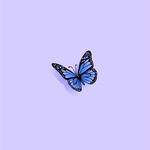 Angel Byers - @hwcfam1 - Instagram