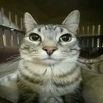 angel - @angel_cachondo1w - Instagram