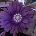 Angel Cagle - Facebook