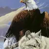 angelcaisaluisa7 - @angelcaisaluisa7 - TikTok
