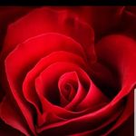 @_angel_canada - Instagram