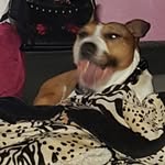 ángel cañadas Blazquez - @angelcanadasblazqu - Instagram