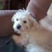 Angel Canto - Facebook