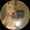 angelcapo140 - @angelcapo03 - TikTok