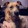 angel - @angel.cerda8 - TikTok