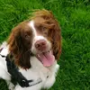 Angel and Coates - @angel.coates2020 - TikTok