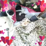Angel Collins - Facebook