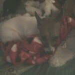 AngelCollins - @angelwoof - Instagram