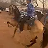 Angel cota🐴 - @angelcota22 - TikTok