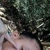 Angel Deleon - Facebook