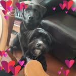 Angela Pol - @angela.doucet.3 - Instagram