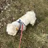 angelfu - @mili.and.dolly - TikTok