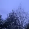 Angel - @angelgrimm2 - TikTok
