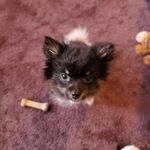 Angel Grimm - @grimm2579 - Instagram
