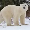 Angel Hackett - @angel.hackett0 - TikTok