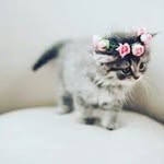 Angela Hackett - @kittiez_meiw - Instagram