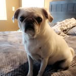Angel Harvey - @angelharvey442019 - Instagram