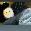 EL WUERO👹 - @angel.henry93 - TikTok