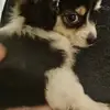 Angela Henson - @angela.henson0 - TikTok