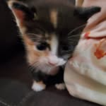 Angel herbert - @herbert.m68 - Instagram