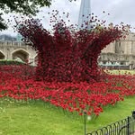 Angela Maria Hulse - @angie1969.ah - Instagram