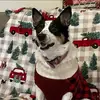 angelahulse - @angelahulse - TikTok