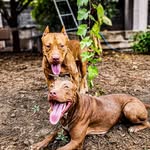 @angel_hunter_8.6 - Instagram