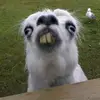 angel lagares - @angel.lagares - TikTok