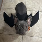 Angel Lambert - Facebook