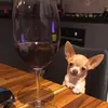 Angel Leyva - @leyva.angel07 - TikTok
