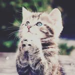 Ангелина Мурашко - @angel__lime - Instagram