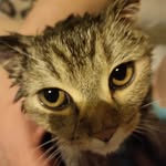 Vladimir - @angellord21 - Instagram