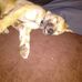 Angel M Luce - Facebook
