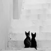 Angel Luo - @2176114843 - TikTok