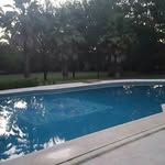 Lola - @angelmarconi - Instagram