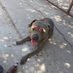 Angel mariscal Hernandez - @angel_mariscal.hernandez - Instagram
