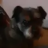 angelmast0 - @angelmast0 - TikTok