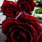 Meredith Angel - Facebook