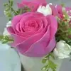 meredith angel - @meredith.angel - TikTok