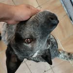 Angel Minor - @el_wakandano - Instagram