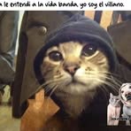 Angel Minor - Facebook