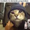 Angel Minor - @angel.minor93 - TikTok