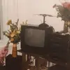 Angel Olan - @angelolan80 - TikTok